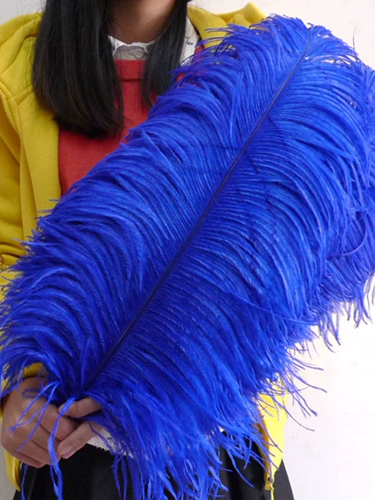 От 50 до 55 см. Крупные стержневые перья Свадебного Свадебного события Стол Стол Цветочный Комнат Интерьер декоративные ювелирные аксессуары