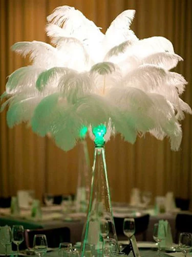 Южная Африка импортированная страус.