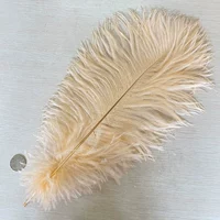 Цвета шампанского