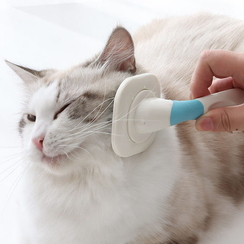 宠物针梳狗狗梳理美毛脱毛猫梳子