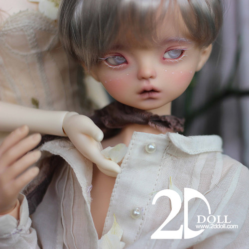 bjd-2d女1/4山茶Camellia （sd娃娃同类正版树脂）球形关节2ddoll