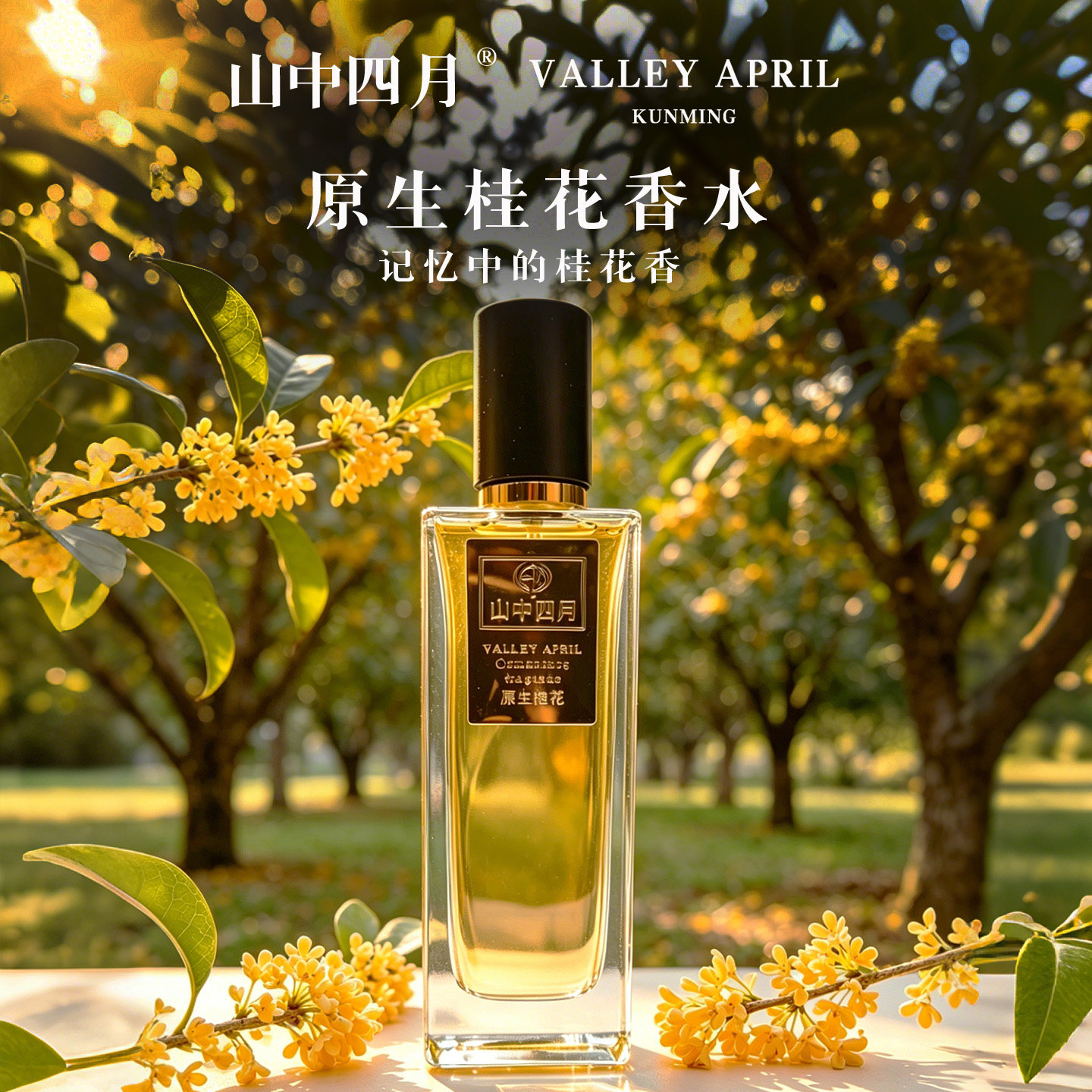 纯净桂花香水山中四月不甜腻