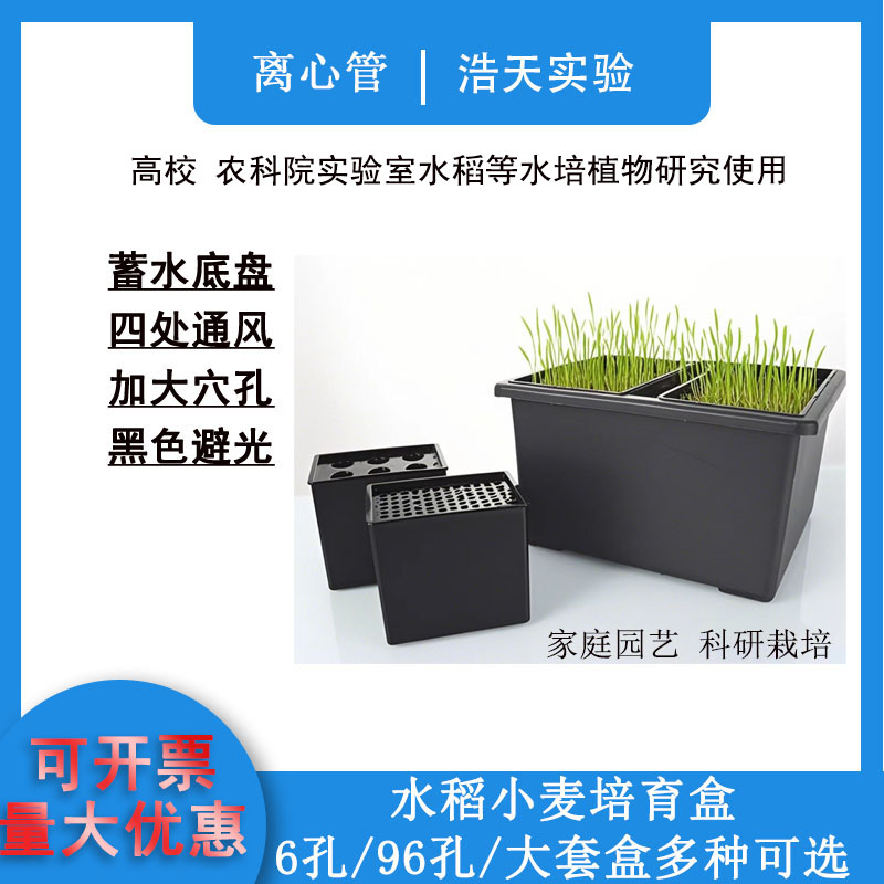 水培植物盒 水稻小麦培育盒培育板 6孔96孔小麦水稻培养无土栽培