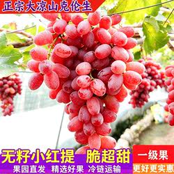 西昌克伦生新鲜葡萄水果无籽小红提子脆甜孕妇整箱现摘5斤大凉山