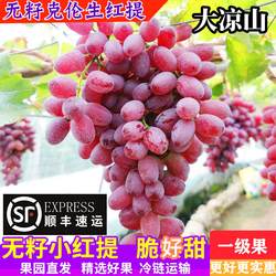 西昌克伦生新鲜葡萄水果无籽小红提子脆甜孕妇整箱现摘5斤大凉山