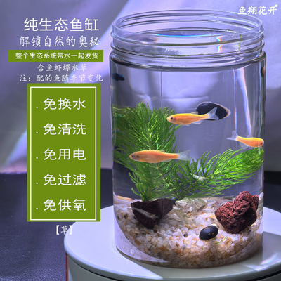 鱼翔花开生态鱼缸免打理