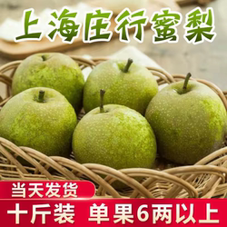 上海庄行蜜梨翠冠梨青梨梨子脆甜多汁当季新鲜水果9斤礼盒装