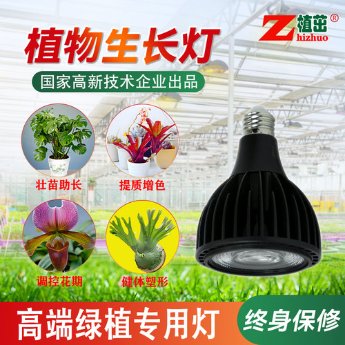 热带绿植生长灯全光谱LED补光灯