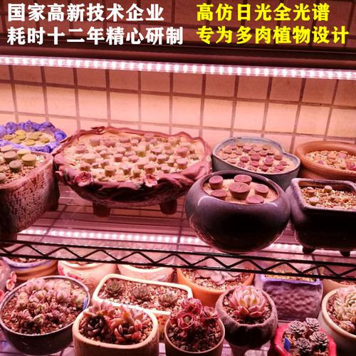 艾普朗多肉植物灯防徒长上色更快