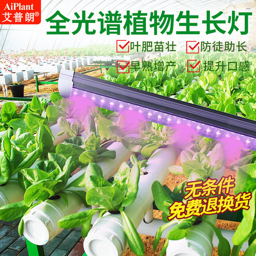 国家高企研制正品全光谱效果好