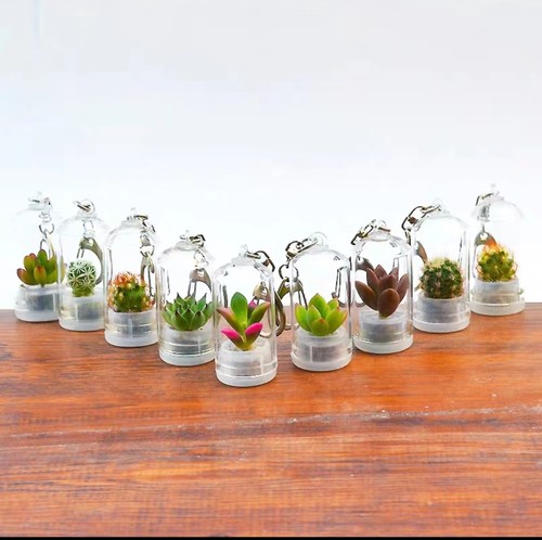 创意迷你植物多肉挂件随身农场多肉挂件微景观DIY桌面趣味小盆栽