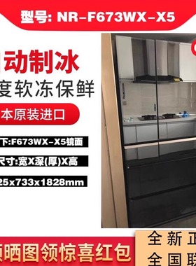 PANASONIC NR-F673WX-X5松下进口家用冰箱607/521/F658/601HX/509