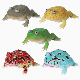 包邮 现货 万代 扭蛋 生物大图鉴 小丑蛙 南美 角蛙 圆眼珍珠 蛙