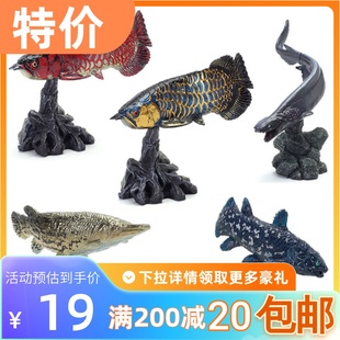 包邮现货 万代 扭蛋 生物大图鉴 古代鱼 类 迷你远古海洋生物场景