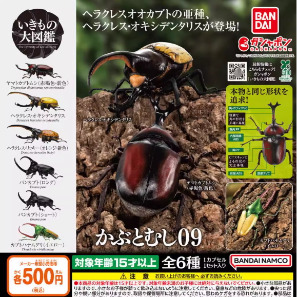 包邮 现货 万代 生物大图鉴 甲虫 9 扭蛋 独角仙 大兜虫