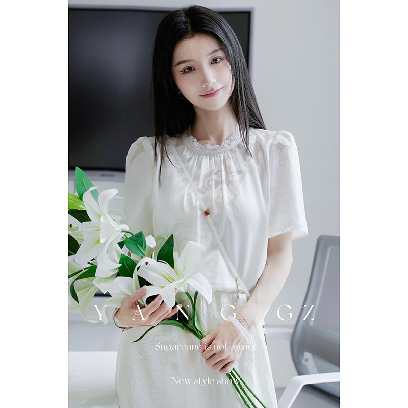 YANG GZ【空山月记】夏季新款法式宫廷烧花泡泡袖短袖女国风上衣