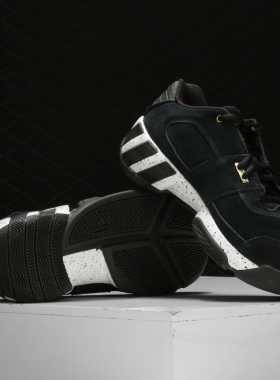 Adidas/阿迪达斯正品冬季新款阿里纳斯男子运动实战篮球鞋EH2391