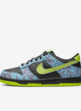 Nike/耐克正品Dunk Low SE 2女子GS大童款休闲运动板鞋DV1694-900