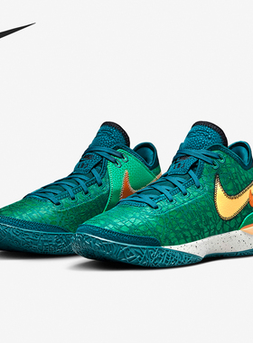 Nike/耐克正品新款男子减震耐磨运动篮球鞋DR8788-301