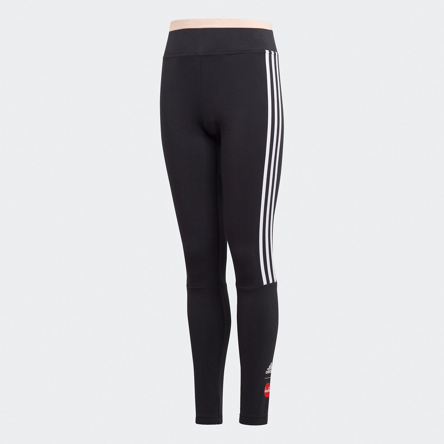 阿迪达斯联名女训练运动紧身裤