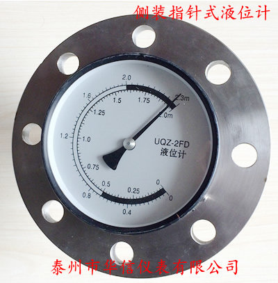 浮球液位计表盘式不锈钢法兰盘机械指针式槽车用现场显示液位仪表