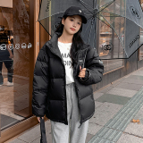 【有现货】2022短款加厚白鸭绒羽绒服288A-911-P195控288，女装羽绒服，浙宝095(原288A)