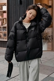 【有现货】2022短款加厚白鸭绒羽绒服288A-911-P195控288，女装羽绒服，浙宝095(原288A)