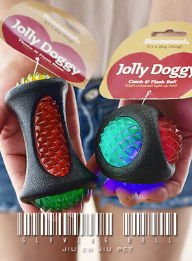 英国rosewood狗狗玩具球宠物耐咬幼犬弹力发光球小狗益智解闷神器