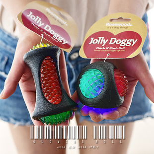 英国rosewood狗狗玩具球宠物耐咬幼犬弹力发光球小狗益智解闷神器