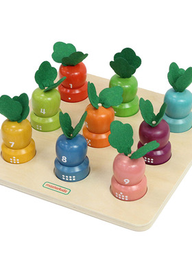 贝思德masterkidz 数量颜色数与量学习插萝卜游戏 幼儿早教玩具3+