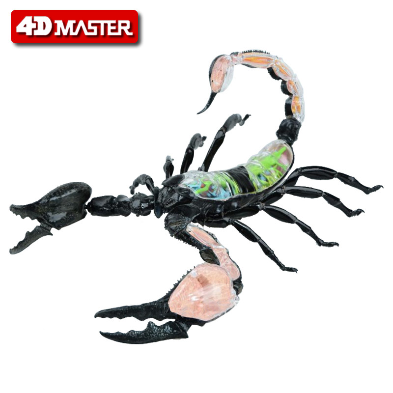 4D master 蝎子模型仿真动物模型拼装积木幼儿园科学教具儿童玩具