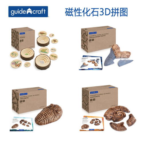 guidecraft磁性化石3D拼图巨齿鲨牙齿菊石海螺三叶虫考古挖掘玩具