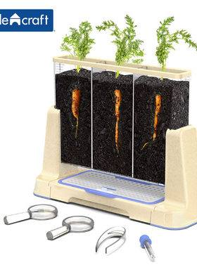 Guidecraft 透明种植器三格植物根部生长探索架 儿童科学实验玩具