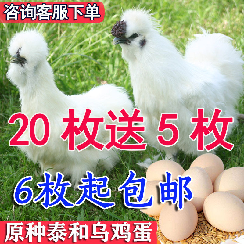 新鲜江西正宗原种泰和乌鸡蛋农家土鸡蛋农村散养白凤乌骨鸡蛋包邮