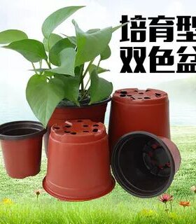 塑料一次性圆简易育苗盆双色花盆