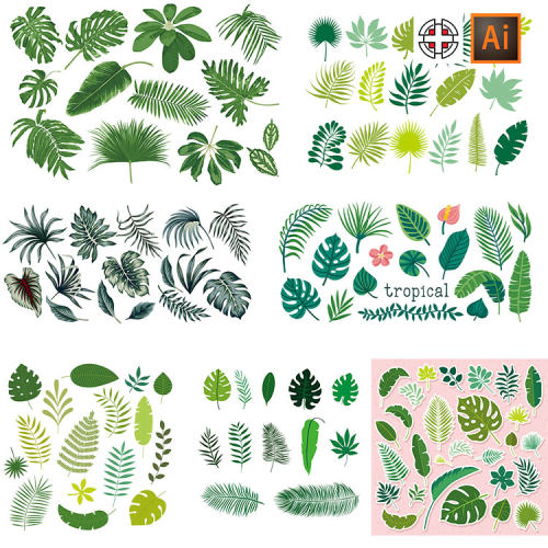 热带植物龟背竹棕榈叶插画合集AI矢量素材