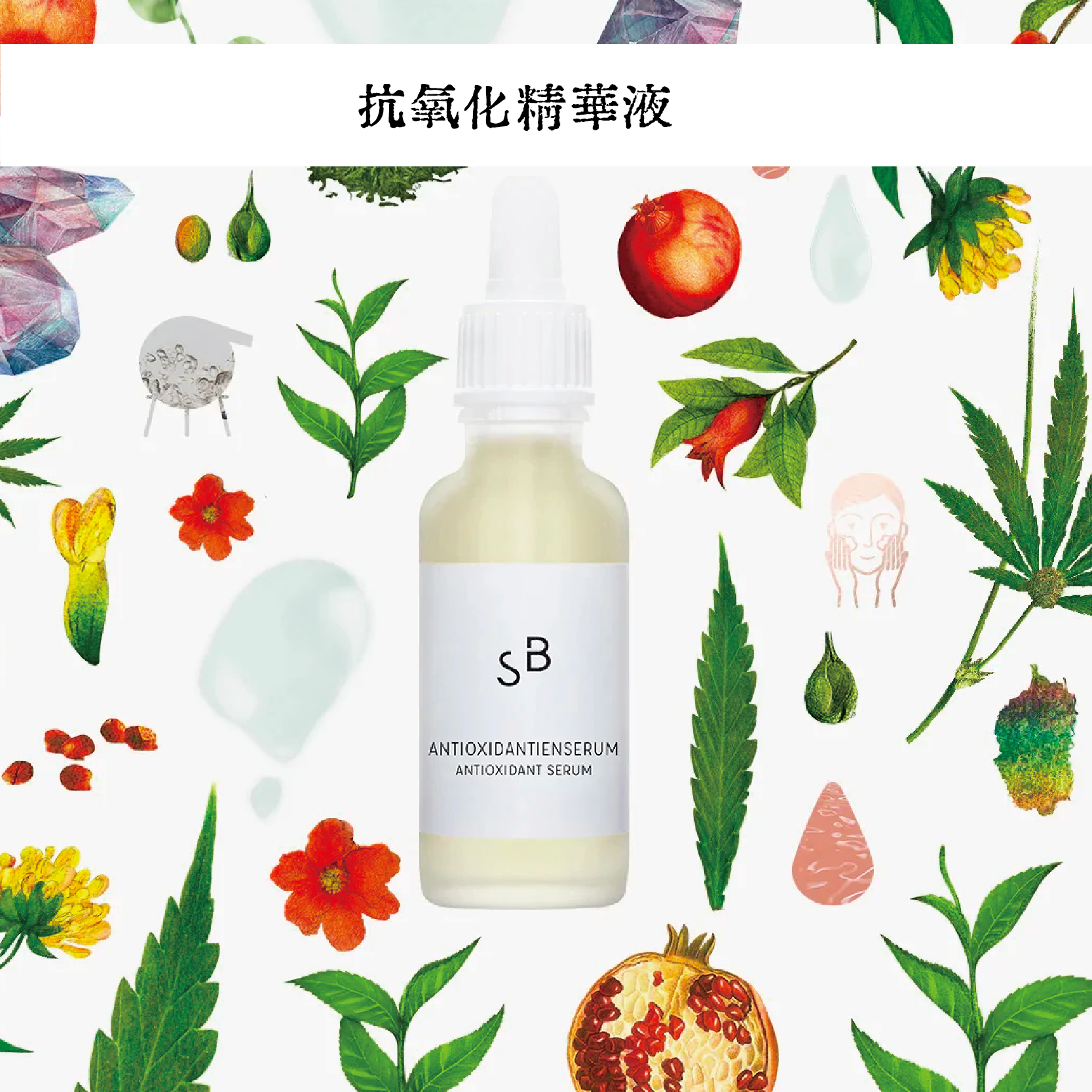 代购德国简约小众Studio botanic 抗氧化精华液30ml antioxidant