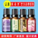 肤姿美薰衣草玫瑰精油10ml全身按摩推拿刮痧保湿 美容院SPA家用