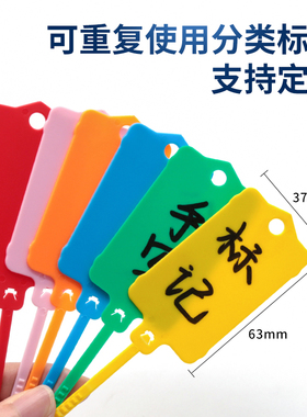 塑料吊牌挂签防水标签封条重复使用扎带彩色分类记号标牌扎带定制