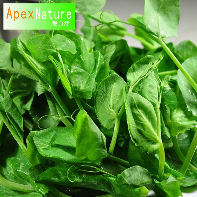 农产品 新鲜蔬菜 豌豆叶 豌豆苗 火锅龙须菜 煮汤下火锅