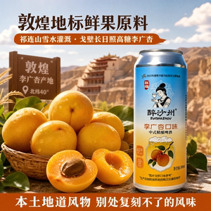 敦煌特产醉沙州李广杏精酿啤酒