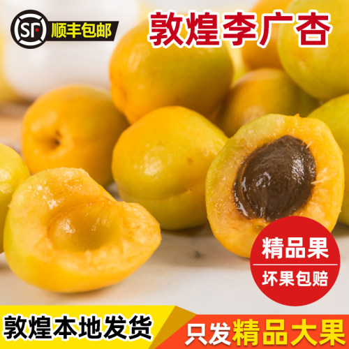 敦煌新鲜李广杏正宗时令水果