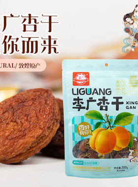 甘肃敦煌李广杏干300g