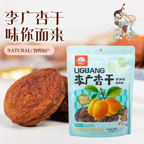 甘肃敦煌李广杏干300g