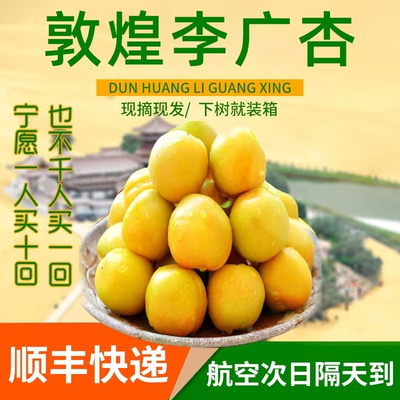 Его собственное производство Dunhuang Li Guangxing Xianye Natural Orinite Land Li Guangxing 5 фунтов SF -Stuff SF Shipwriting