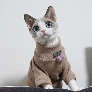 德文猫专用衣服秋冬季保暖无毛猫幼猫奶猫咪四脚毛衣弹力加绒加厚