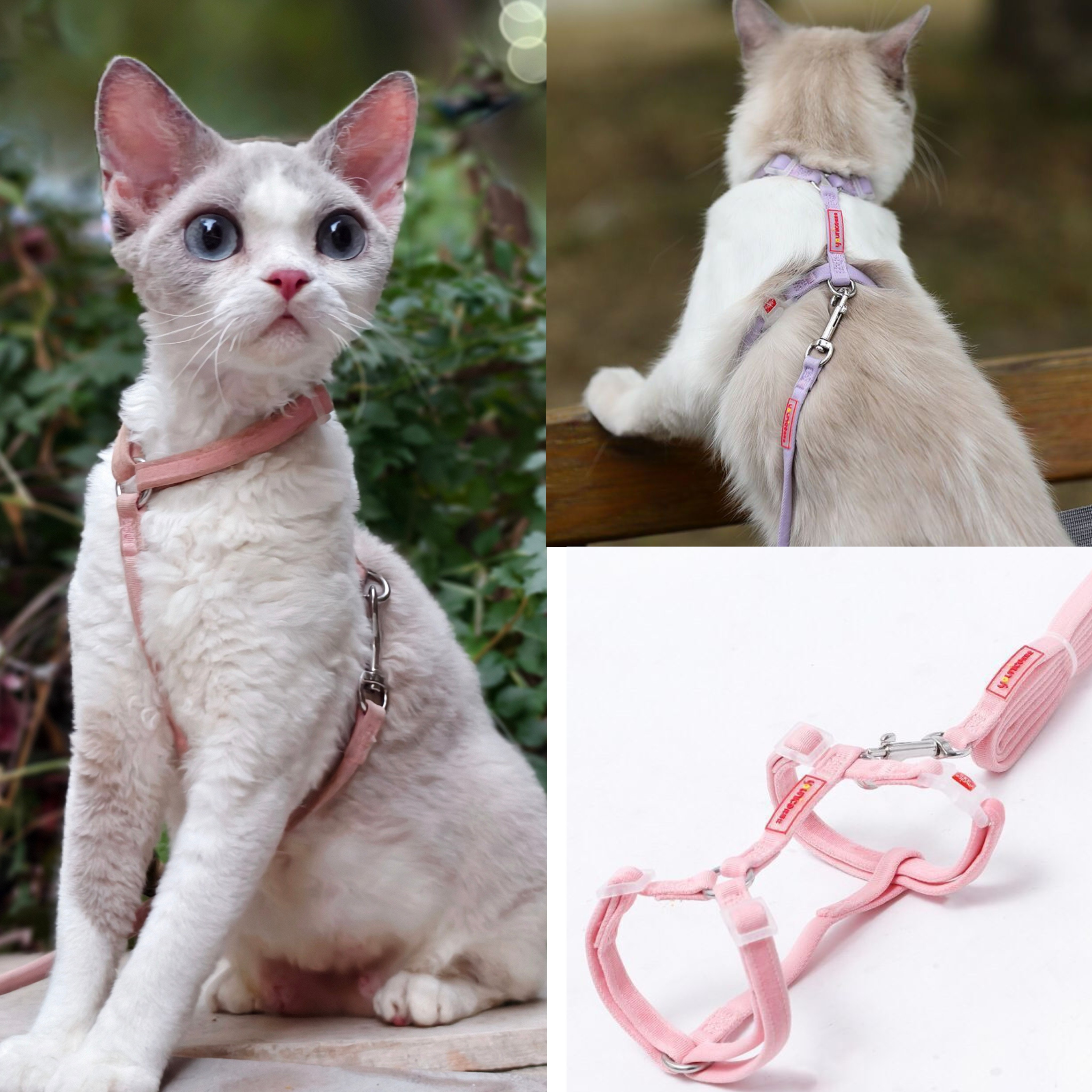 无毛猫牵引绳猫咪绳子防挣脱遛猫绳子宠物用品猫绳子猫绳子猫绳子,宠物/宠物食品及用品,猫牵引绳,淘宝优惠券,粉丝福利购,淘宝优惠卷