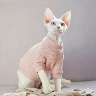针织毛衣德文猫纯棉粉色无毛猫宠物衣服秋冬秋季专用保暖小奶猫咪