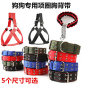 大狗可调节颈圈狗狗项圈小狗圈单独胸背带大型犬脖圈脖套P链头子
