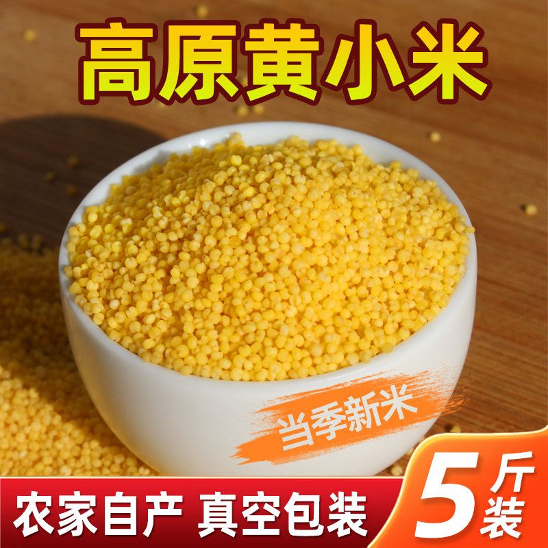 青藏高原农家自产黄小米